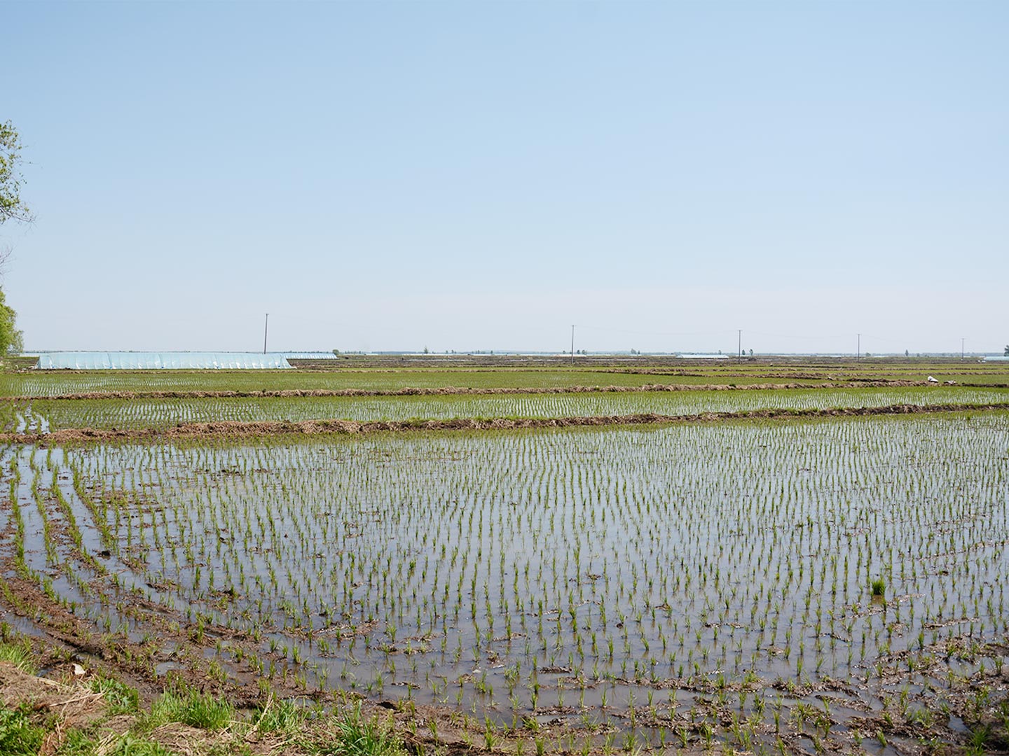 基地展示